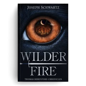 Wilder Fire, a fantasy novel by Joseph Schwartz